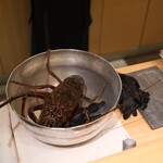 御料理 まつ山 - 