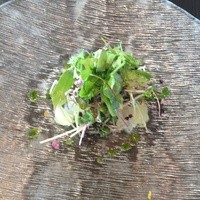 オーヴェスト - 前菜…魚のカルパッチョ マイクロリーフレタス添え