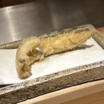 日本橋 蕎ノ字 - 対馬　穴子