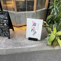 恵比寿ビストロ 猫も杓子も - 