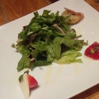 RIGOLETTO KITCHEN - 