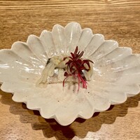 そばがみ - 