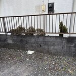 はちのこ食堂 - 