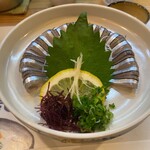 魚将　さかなちゃん - 