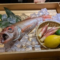 のどぐろ専門 銀座 中俣 - 