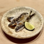 すしやのたい悟 - メヒカリ一夜干し。小さいながらも脂乗り最高で程よい塩味、丁寧に仕込みをされた証ですね♬.*ﾟ