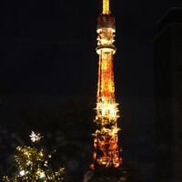 ジャヌ メルカート - 