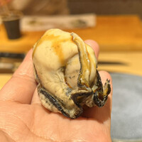 浅草橋 鮨 うらおにかい - 