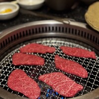 うしごろ 貫 恵比寿本店 -  うしごろ 貫 恵比寿本店 -