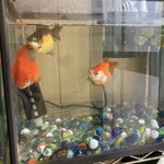 しゃぶ葉 - すみちゃん専用    ピンポンパール