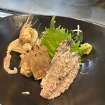 たぬき ラクーンドッグ - 