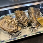 たぬき ラクーンドッグ - 