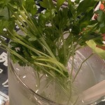 小皿が主役 Oshiri yes - 