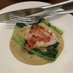 キタキュウホウジ ツガヤ - 