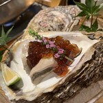 博多ほたる 西中洲本店 - 