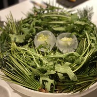 ニシデリア - なんて素敵な登場なの～！