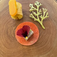 Terroir愛と胃袋 - 