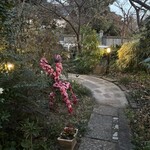 器とバル さん手 - 