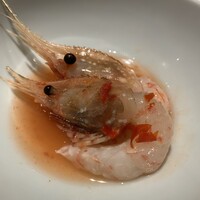 ミモザ - 