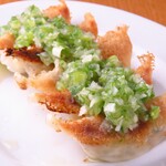 馬刺し郷土居酒屋 おしょうしな - ネギ塩まみれ焼き餃子