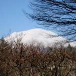 リトルスイス - （冬）くっきりと純白の稜線を描く浅間山！青空とのコントラストが美しい（宿の庭にて）