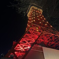 ワカヌイ グリル ダイニング バー 東京 - 