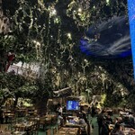 レインフォレストカフェ・トーキョー - 