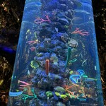 レインフォレストカフェ・トーキョー - 