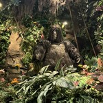 レインフォレストカフェ・トーキョー - 