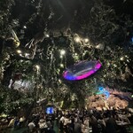 レインフォレストカフェ・トーキョー - 