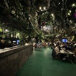 レインフォレストカフェ・トーキョー - 