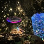 レインフォレストカフェ・トーキョー - 