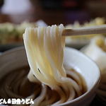 田舎うどん てつ - 2014年6月　うどん　アップ