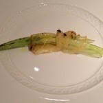 フォリオリーナ・デッラ・ポルタ・フォルトゥーナ - 2014年6月