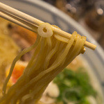 麺屋 辰 - １-３）鶏白湯魚介醤油・大盛の麺