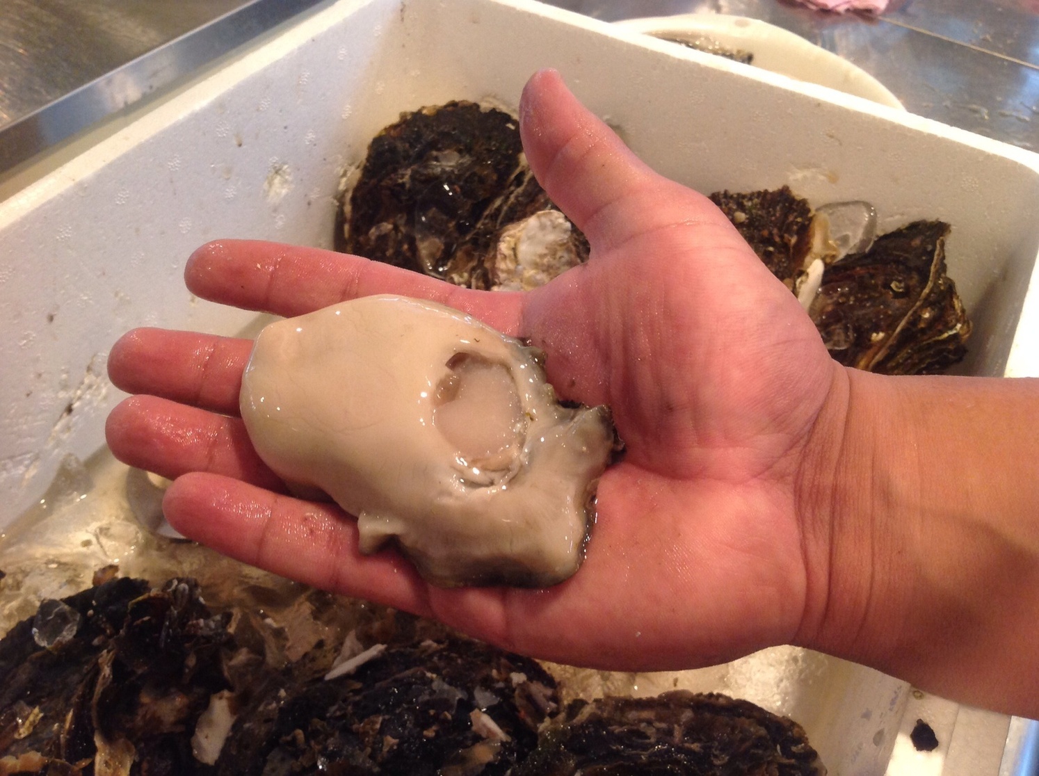 ブラーノブラーノ センター南バル