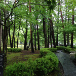 Grand Exiv Karuizawa - 本館に行くまでの道は森^ ^