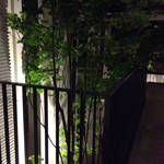 Grand Exiv Karuizawa - マンションみたいな玄関