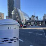 マンモスコーヒー - 