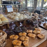 TOOTH TOOTH GARDEN RESTAURANT -  TOOTH TOOTH GARDEN RESTAURANT -