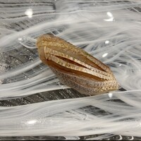 鮨 Matsui はなれ - 