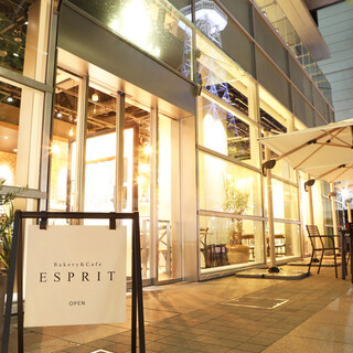 ESPRIT_1