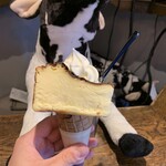 GRASS FED JAPAN GELATO & BAR - 