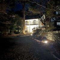 L'Arbre - 
