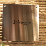 セルヴァッジョ - ロゴ☆