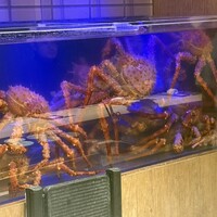 湘南沖地蟹専門店ふじ月 - 