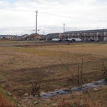 珈琲茶房　華なり - のどかな風景が広がります