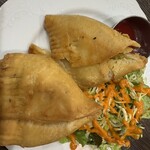 ニューサラティー - 