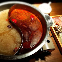 雪梅花 菜根譚 - 