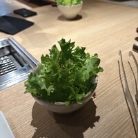 横浜焼肉kintan -  横浜焼肉kintan -